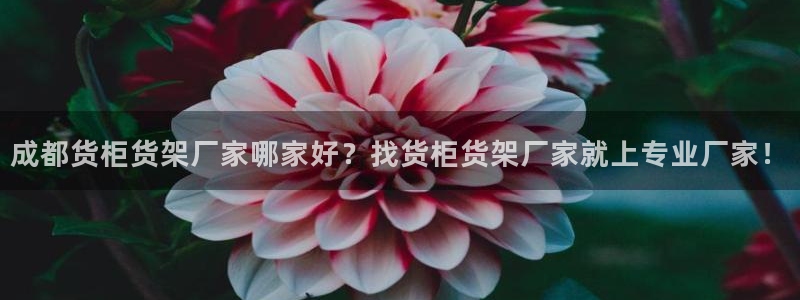 杏运平台代理