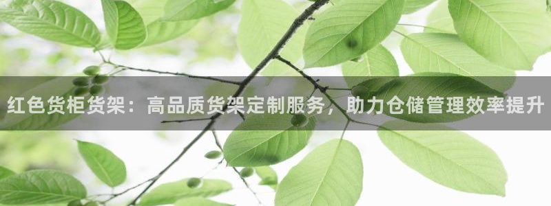 杏运平台登陆