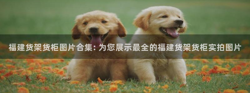 杏运注册登录地址