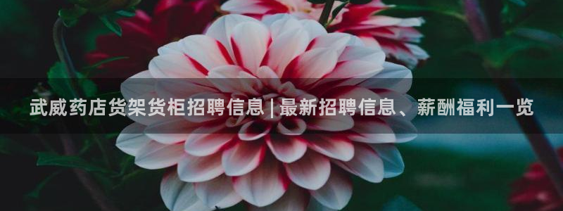 杏运娱乐平台注册地址