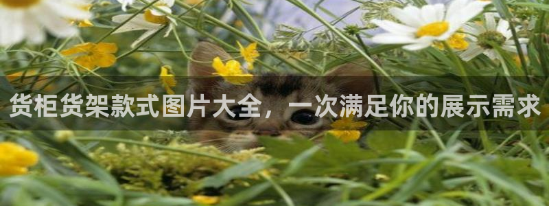 杏运平台官方网站