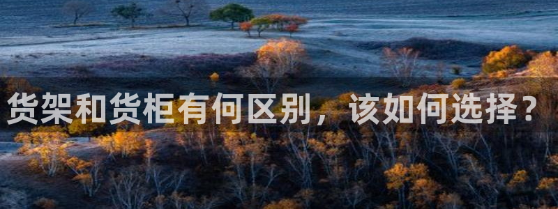 杏运体育平台正规吗安全吗可信吗