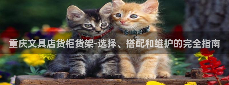 杏运相伴