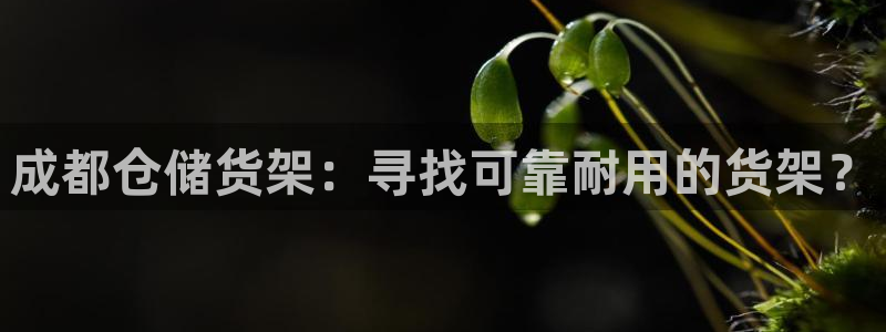 杏运体育平台