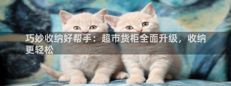 杏运体育注册