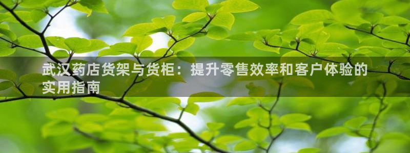 杏运平台代理
