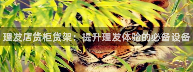 杏运注册登录地址