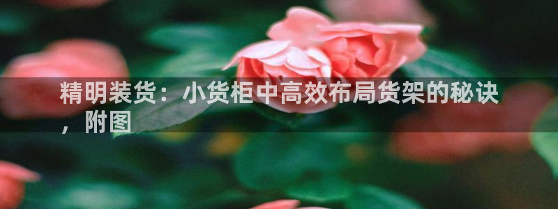杏运相伴