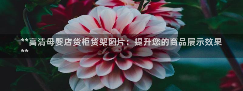 杏运平台官网