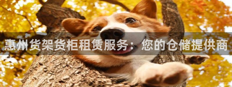 杏运登录