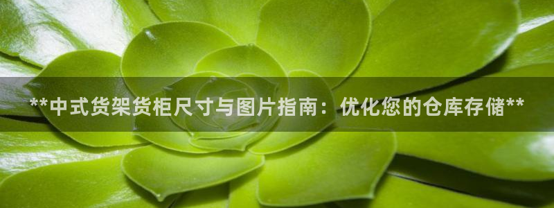 杏运平台代理