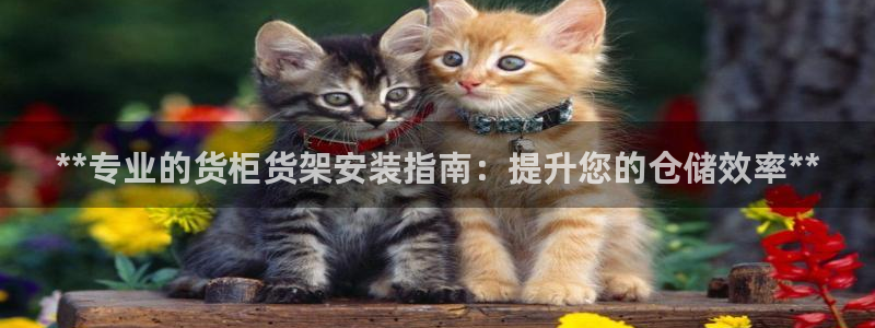 杏运登录