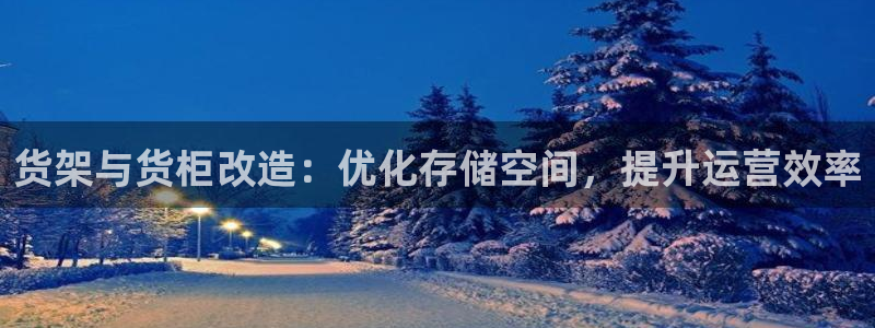 杏运相伴：货架与货柜改造：优化存储空间，
