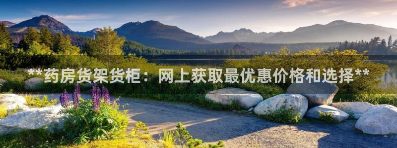 杏运登录：**药房货架货柜：网上获取最优
