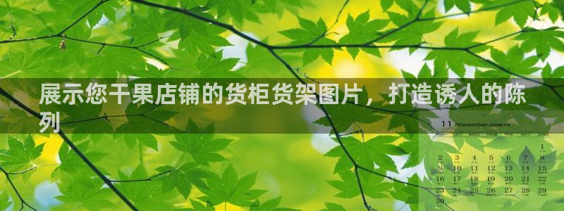杏运代理