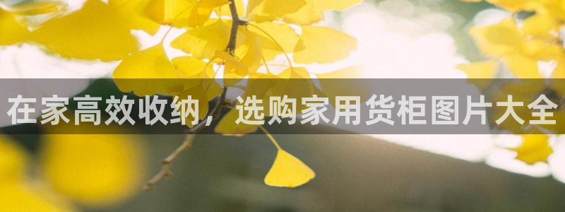 杏运体育官方网址：在家高效收纳，选购家用