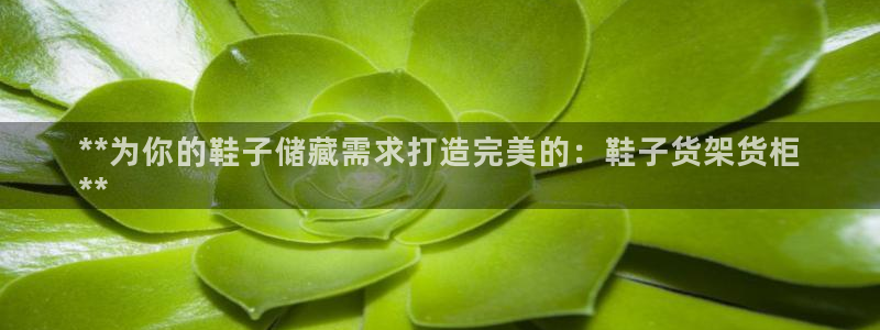 杏运平台注册