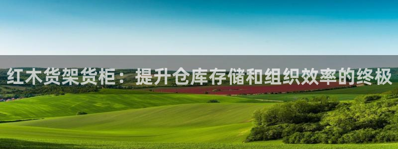 杏运汽车招商