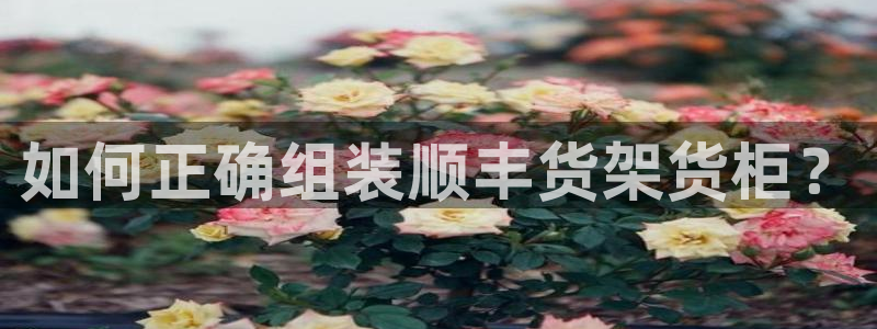 杏运注册账号