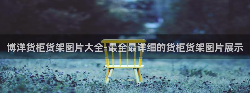 杏运平台官方网站：博洋货柜货架图片大全-
