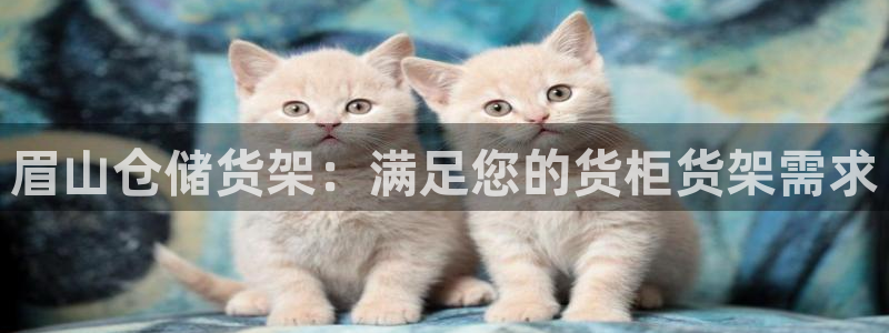 杏运体育网：眉山仓储货架：满足您的货柜货